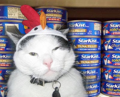 Cat with Hat Tuna Thief