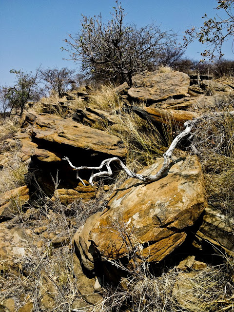 Daan Viljoen National Park Namibia