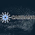 (Kiếm tiền online) Cardano (ADA) là gì? Toàn tập về đồng tiền ảo ADA - Mua-bán ADA coin như thế nào?