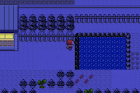 Pokemon RogueFeu New2 Screenshot 02