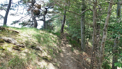 Steiler, schmaler Pfad im Wald