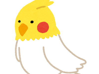 選択した画像 オカメインコ インコ イラスト かわいい 256786