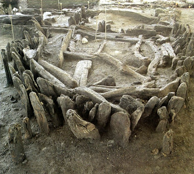 Iron Age wooden structures at Poggiomarino