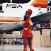A photographic historical look at the sexy stewardesses of the 1960s-1980s