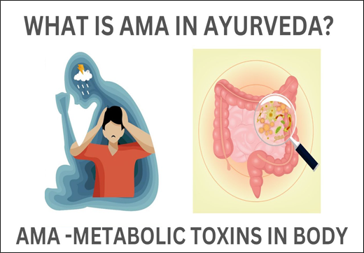 Ama, Concept Of Toxin, Metabolic Toxin, Ama In Ayurveda, Herbal Remedies, Symptoms, Treatment, Ayurveda, Ayurvedic Treatment, Diagnosis