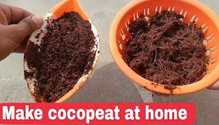 cocopeat