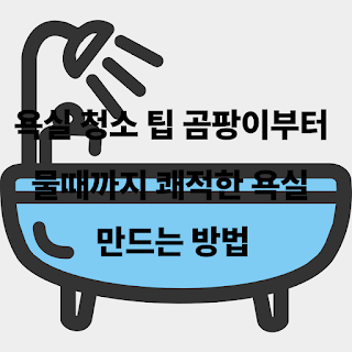 욕실 청소 팁 곰팡이부터 물때까지 쾌적한 욕실 만드는 방법