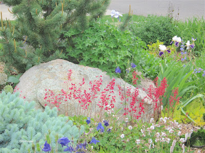 rock garden, Fort Collins, CO