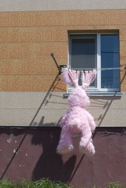 hanging bunny