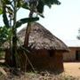 View album