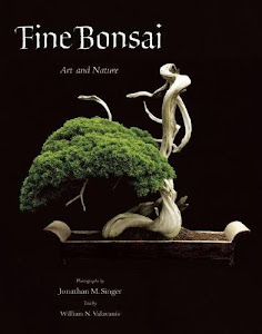 Fine Bonsai: Art & Nature