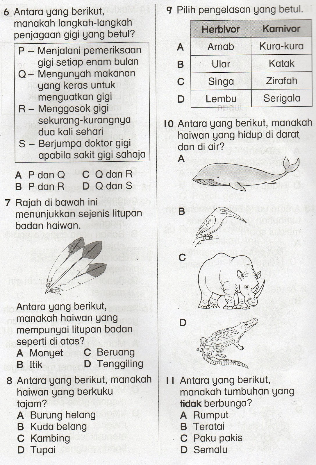 DUNIA SAINS DAN TEKNOLOGI: SOALAN OBJEKTIF