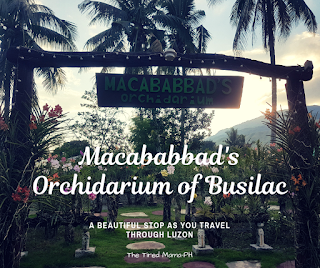 https://www.thetiredmamaph.site/2018/11/the-macababbad-orchidarium-busilac-bayombong-nueva-vizcaya.html