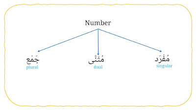arabic noun in term of number: singular, dual , plural