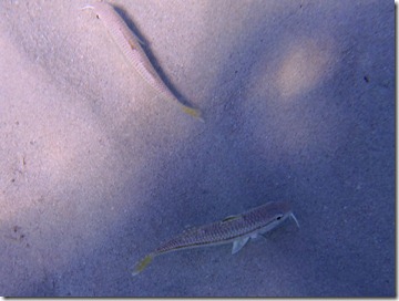 P9140052