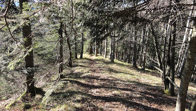 Mieschegg-Trail