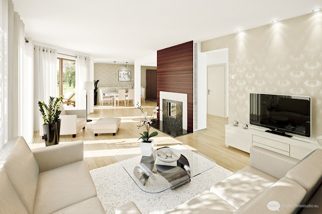 Living Room Design & Decoration Ideas photo