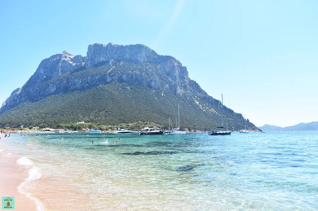 Playa Spalmatore di Terra, Isla de Tavolara