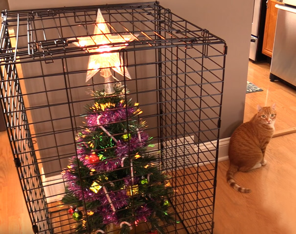 These Geniuses Found A Way To Protect Their Christmas Trees From Their Cats And Dogs