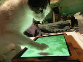 Delilah, kucing yang kecanduan main game iPad