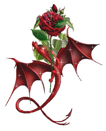 dragao-15254