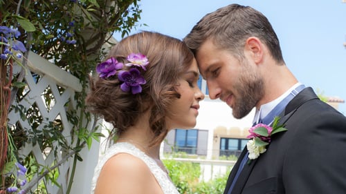 The Wedding Do Over 2018 720p dual audio