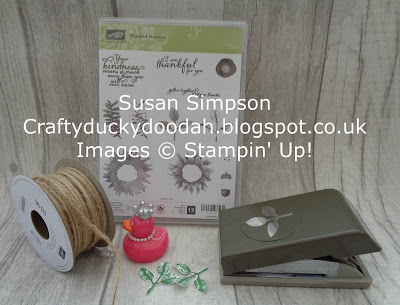 Craftyduckydoodah!, painted Harvest, Stampin' Up! UK Independent  Demonstrator Susan Simpson, Supplies available 24/7 from my online store, 