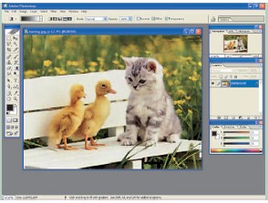 Cara Memberikan Fokus Dan Efek Blur Pada Foto Dengan Adobe Photoshop