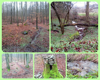 Eine Collage von Fotos im Wald. Besonderheit: ein Baumstumpf auf dem Steine gestapelt sind