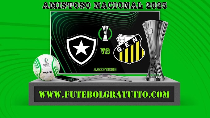 Assistir Botafogo x Novorizontino ao vivo grátis 22/03/2025