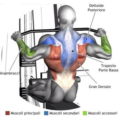 The Push/Pull Workout Plan For Muscle Gains And Fat Burning