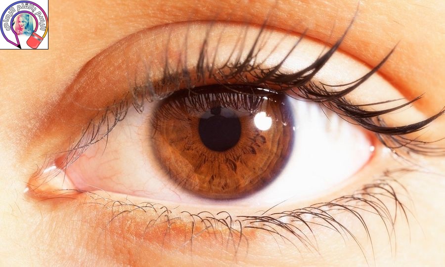 كيفية رسم العين بالألوان الخشبية وجعلها تبدو واقعية - رسم بالرصاص 
