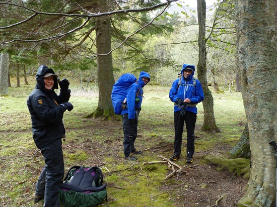 Roger's Picture of rest stop above Forest Lodge
