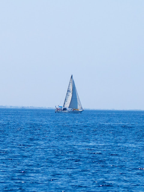 Walrus, bolina verso Favignana ©Valeriaderiso