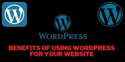 Benefits of Using WordPress for Your Website