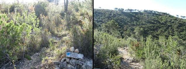 CAL ROTLLAT - FONDO DEL TOTARREU - COLL DELS CARRERS - PUIG DE VILAFRANCA - MASIA DE LA COSTA, corriol al Coll dels Carrers des del Torrent de Sant Suies