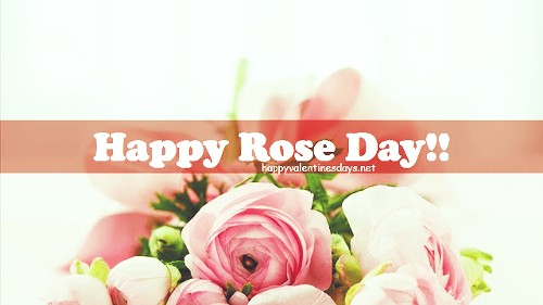 happy rose day picture