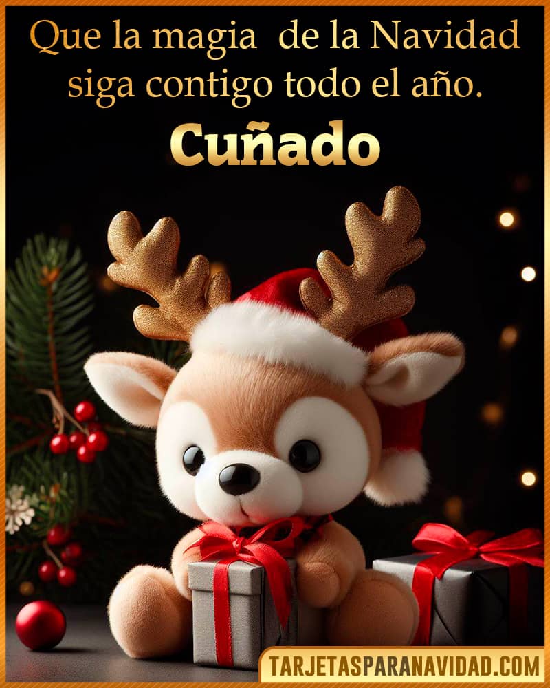 Frases de feliz navidad Cuñado