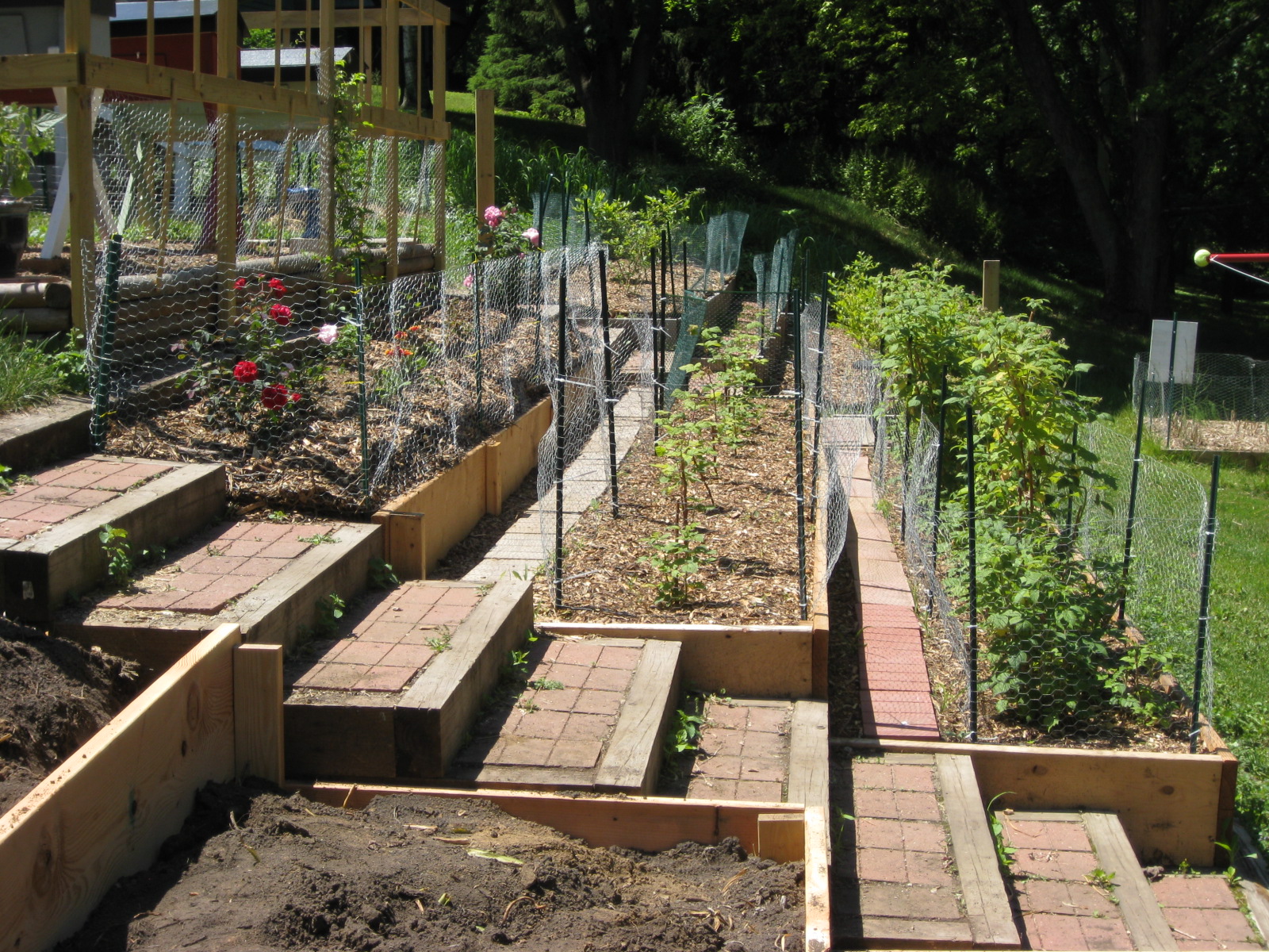 Great Backyard Vegetable Garden Ideas