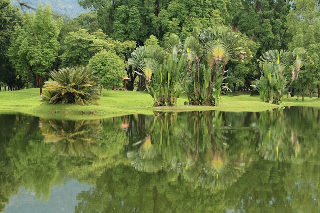 Taiping lake gardens
