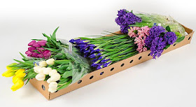 sun valley spring fling box