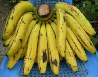 pisang ambon