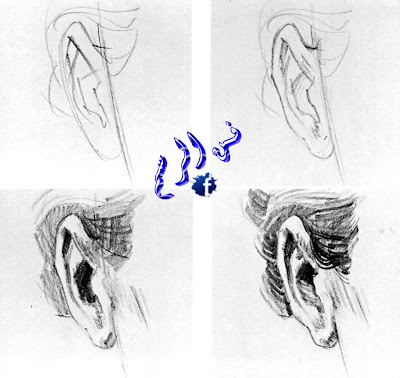 رسم الأذن بالفحم