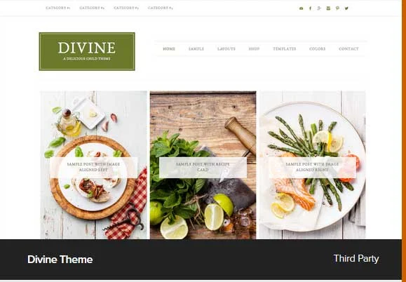 Divine Theme Award Winning Pro Themes for Wordpress Blog : Award Winning Blog