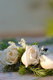 trandafiri albi de gradina pentru sotul meu