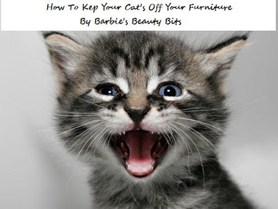 Tips on how to keep you cats off your furniture by Barbie's Beauty Bits