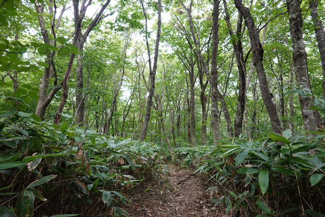 鳥取県西伯郡大山町大山　香取　大休峠