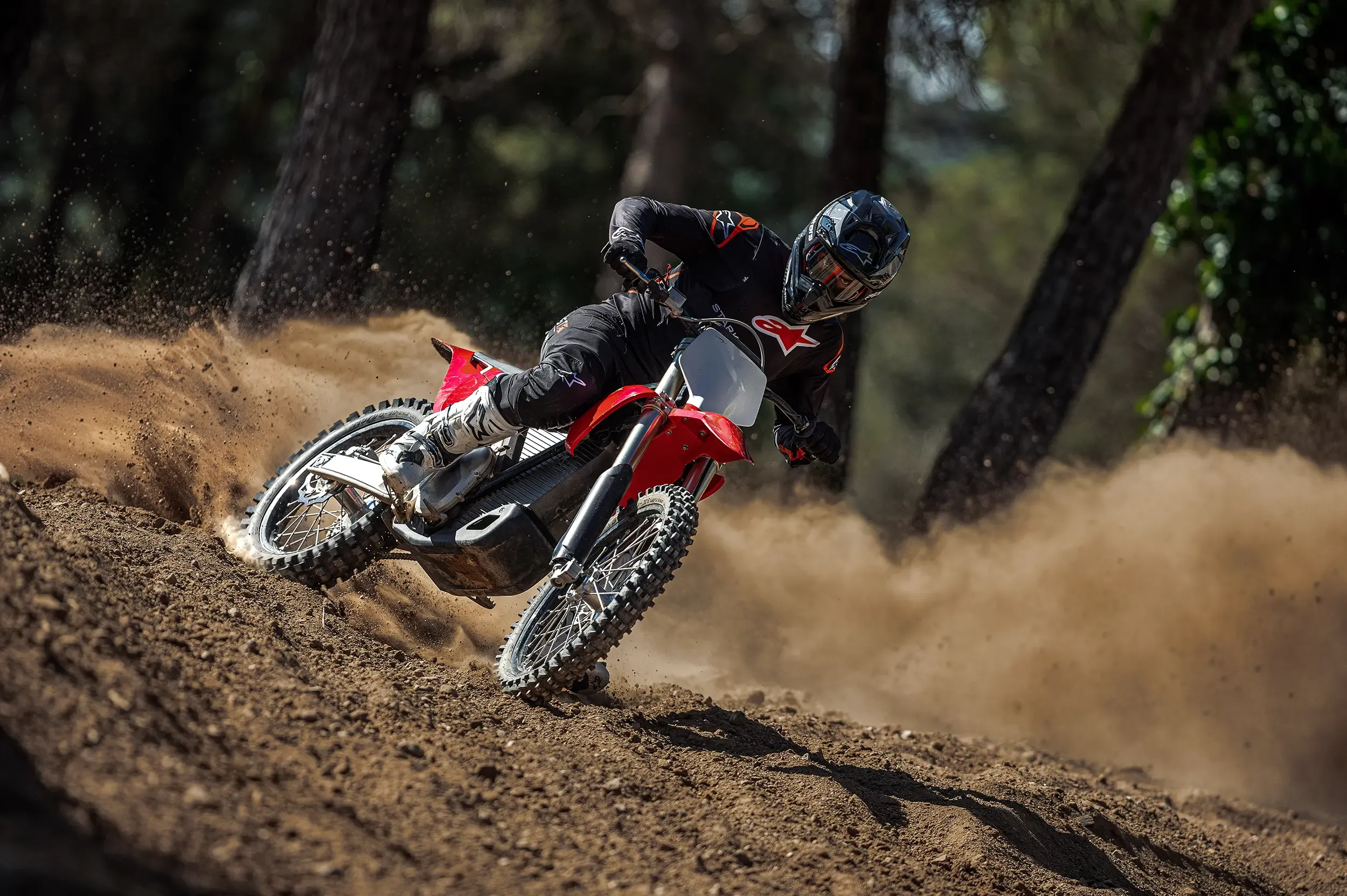 Stark VARG Review & Specs The Electric Dirt Bike Revolution 9