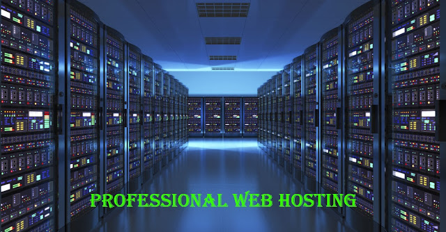 cheap-professional-web-hosting-dedicated-servers.