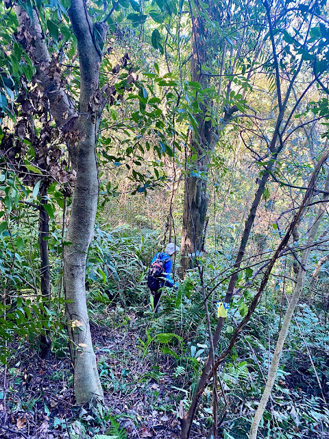 光城山（高遶山）下山途中